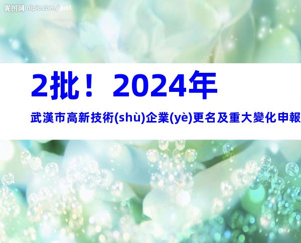2批！2024年武漢市高新技術(shù)企業(yè)更名及重大變化申報(bào)時(shí)間、程序
